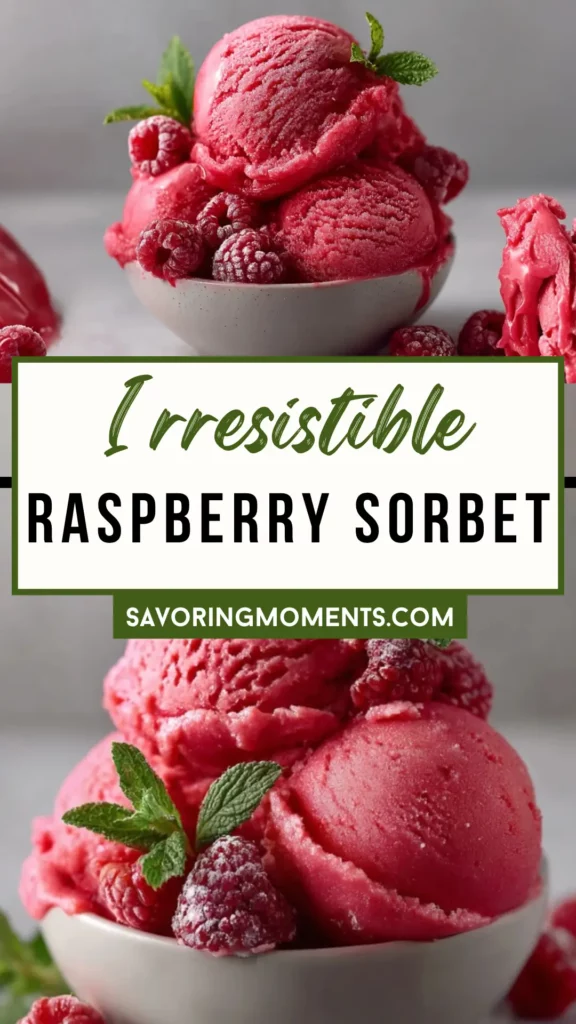 Winco Raspberry Sorbet Raspberry Sorbet - Savoring Moments